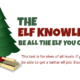 Elf Knowledge Test
