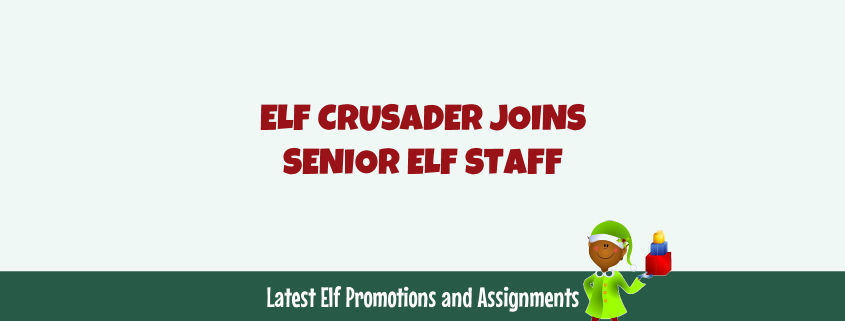 Elf Crusader