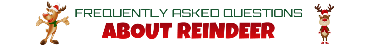 FAQ - Reindeer