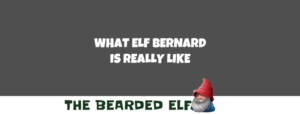 The Truth About Elf Bernard