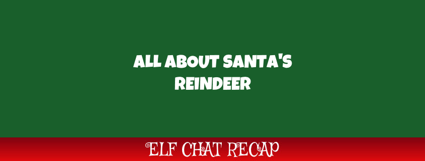 Reindeer