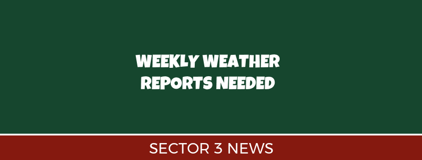 Weekly Weather Reports